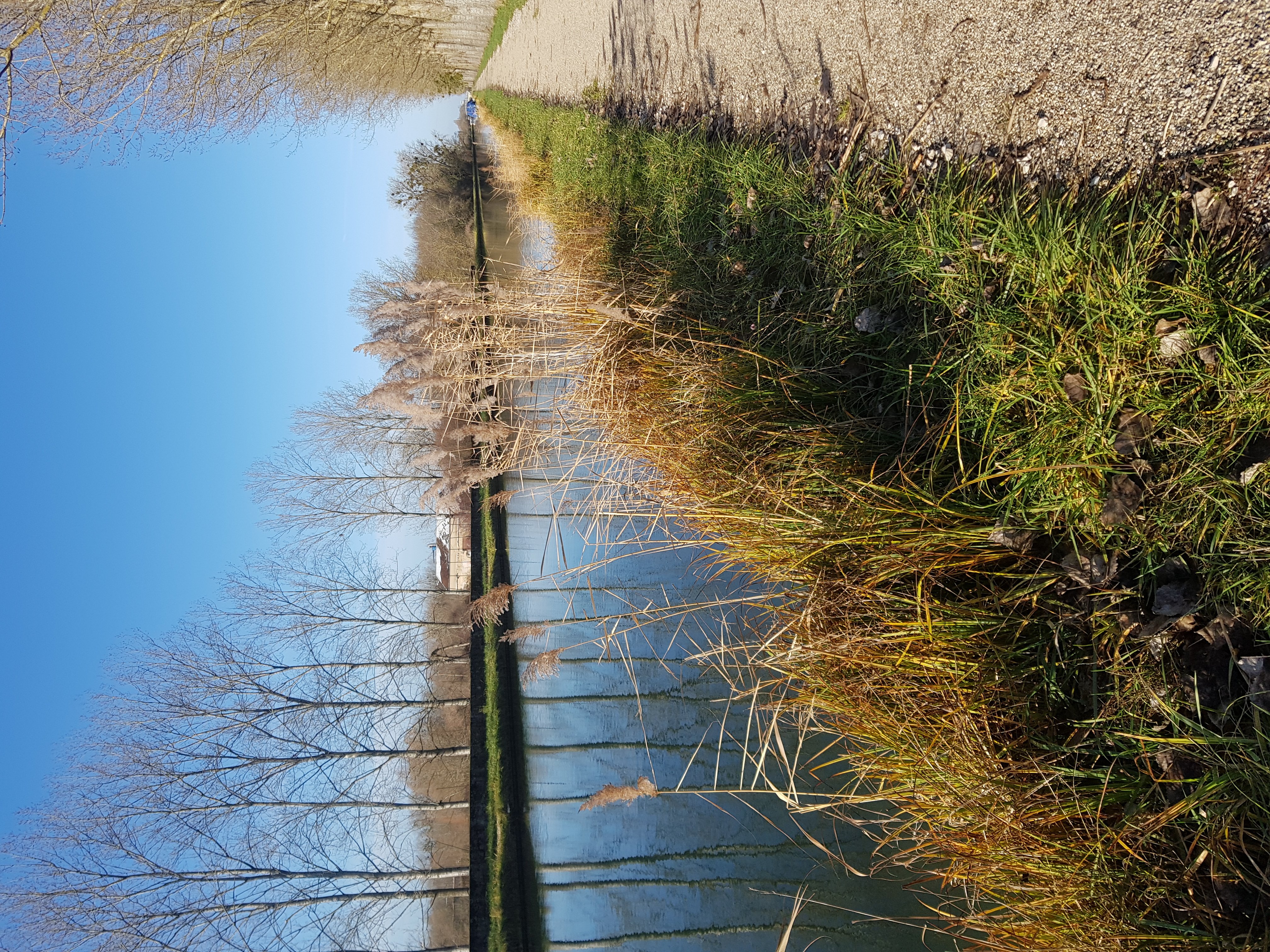 Bien-être en Rives de Saône