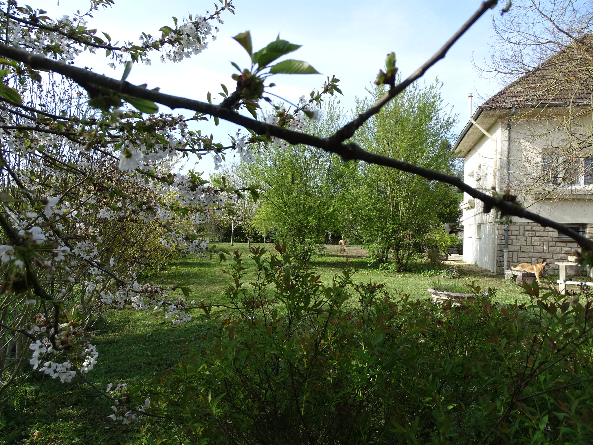 Bien-être en Rives de Saône