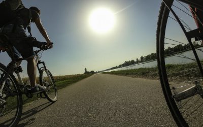 Voie bleue Moselle Saône® à vélo à Saint-Jean-de-Losne