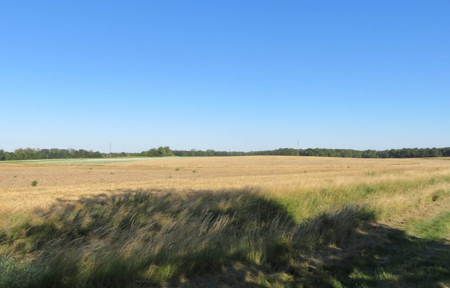 Sentier Anne-Marie Javouhey à Seurre