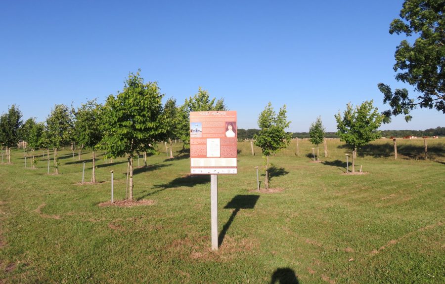 Sentier Anne-Marie Javouhey à Seurre