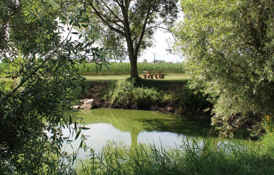 Forêt mémoire Anne-Marie Javouhey