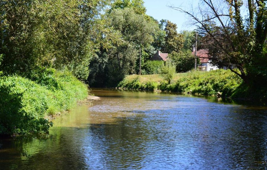 Petit parcours EcoPagayeurs au départ de Saint-Jean-de-Losne