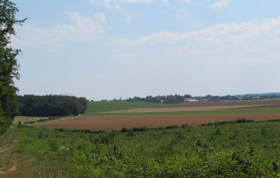 Sentier du Chevreuil à Chivres