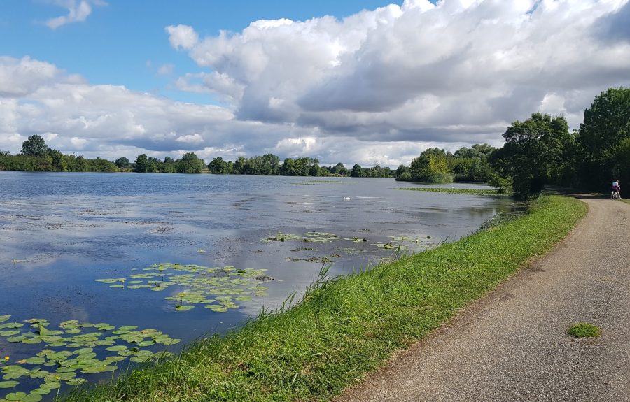 Sentier de l'Écluse à Seurre