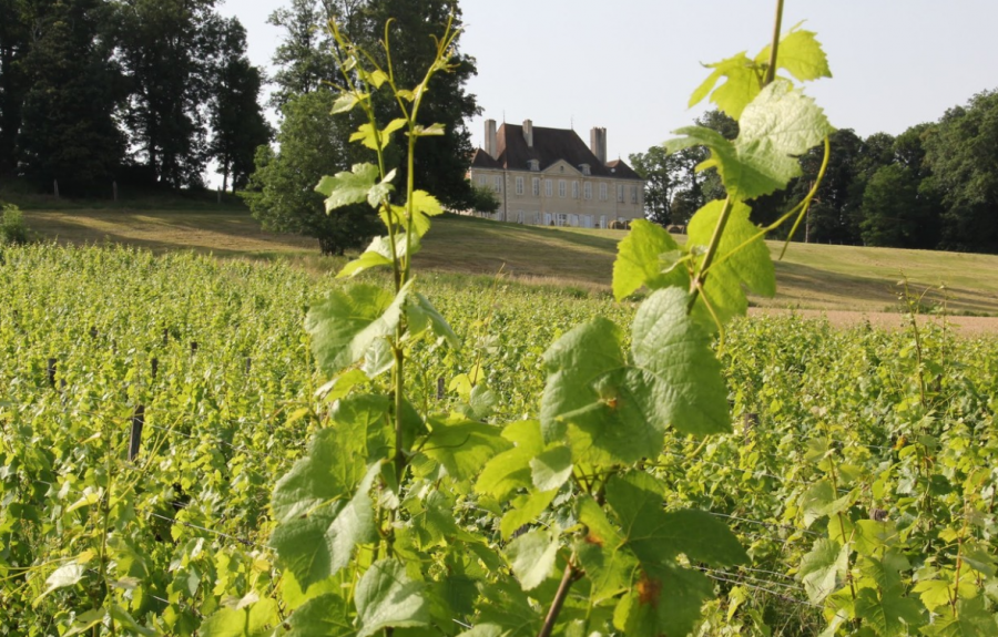 Domaine Polette à Pagny-le-Château