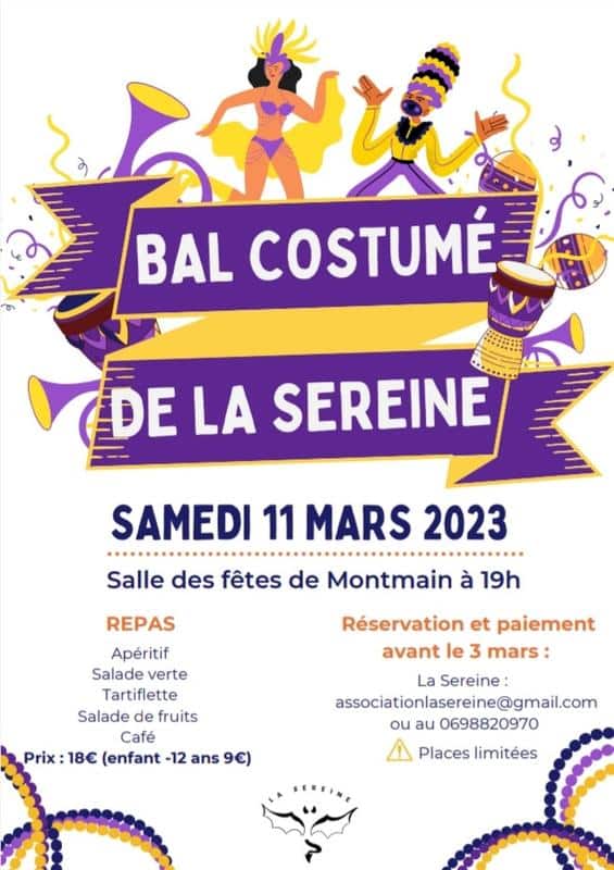 Bal_Costumé