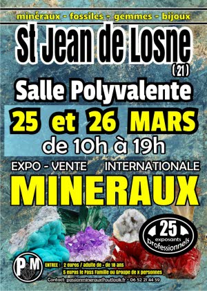 illustration-salon-mineraux-fossiles-gemmes-et-bijoux_1-1679468404